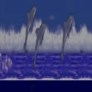 Ecco The Dolphin